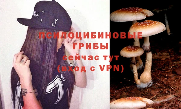 каннабис Медногорск