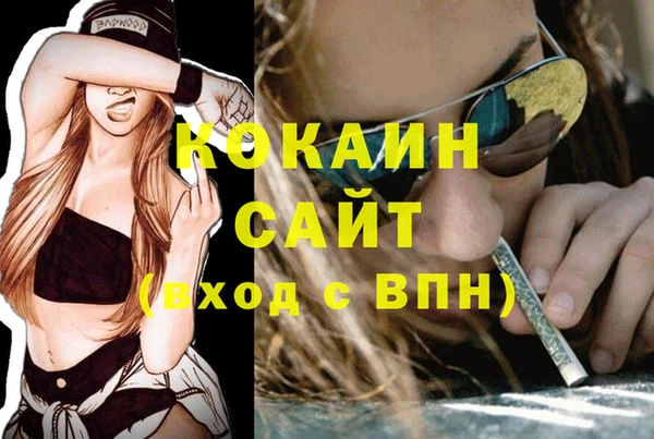 винт Михайлов