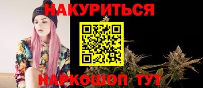 индика Заволжье