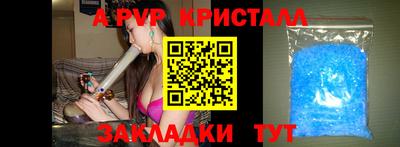 шишки Заводоуковск