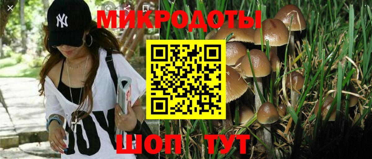 Псилоцибиновые грибы GOLDEN TEACHER  Вход с VPN  Строитель  где найти   Галлюциногенные грибы Psilocybine cubensis 